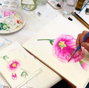 Image of New Mexico Wildflowers & Materia Medica ~ 6 Week Class ~ Saturdays, 7/13 - 8/17