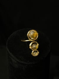 Image 3 of Abundant Szn Collection