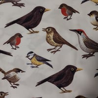 Image 2 of KylieJane Etta top -birds 