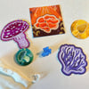 Fun Guy Rainbow Mushroom Goodie Bag 