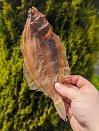 Whole Dried Sole