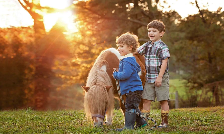 Image of Unicorn and Pony Mini-sessions - June 30th