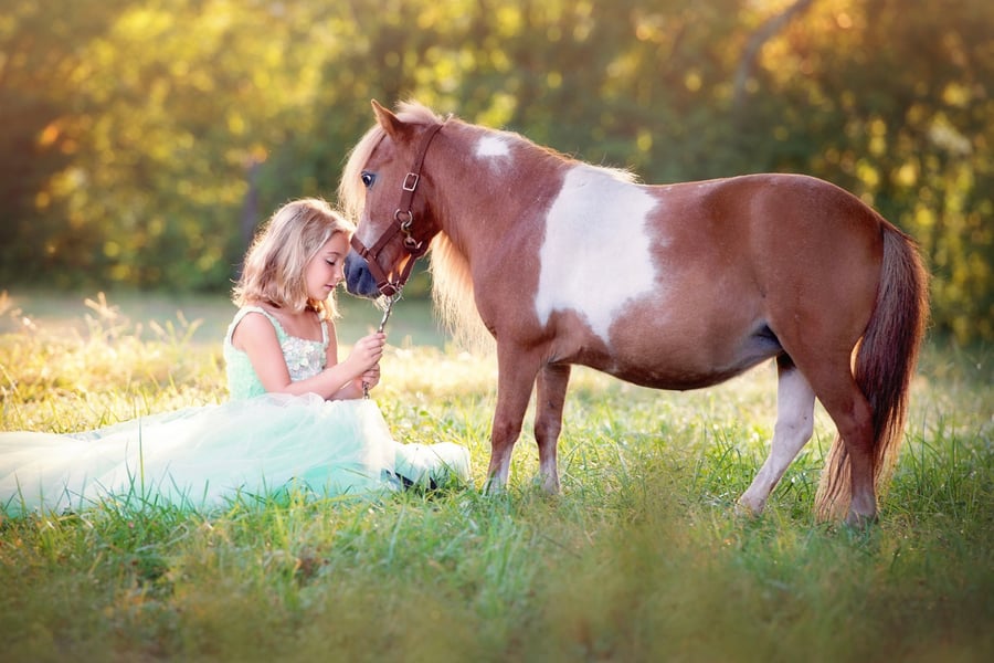 Image of Unicorn and Pony Mini-sessions - June 30th