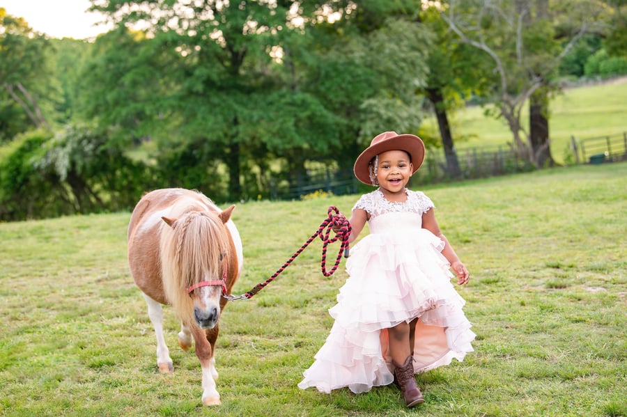 Image of Unicorn and Pony Mini-sessions - June 30th