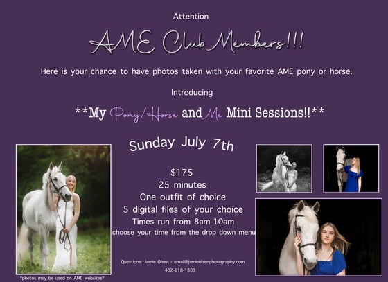 Image of AME Club -My Horse/Pony and Me Minis $175- AME Clients ONLY- SUNDAY JULY 7th, 2024