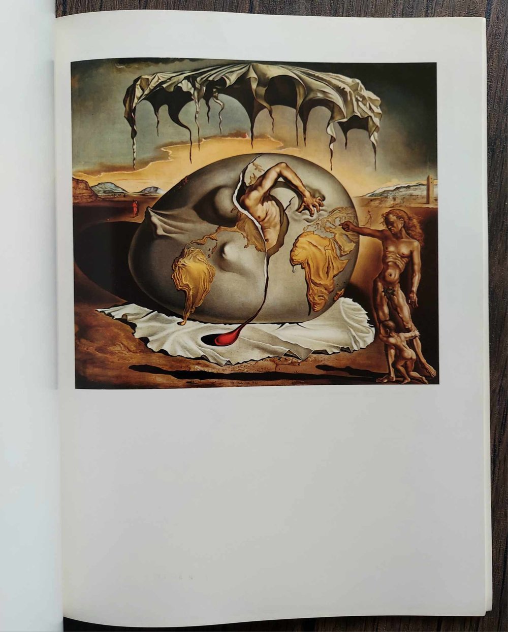 Dali, edited by David Larkin