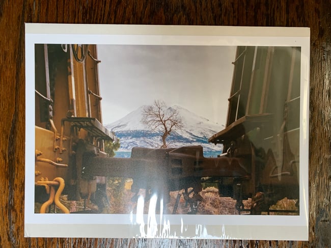 GAZA FUNDRAISER Photo Print - Mt. Shasta