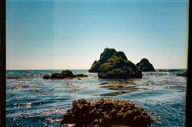 GAZA FUNDRAISER Photo Print - School House Beach