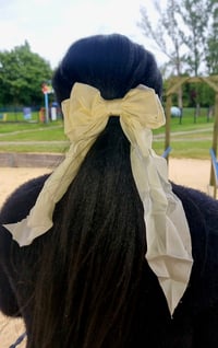 Image 6 of Paris Collection Hair Bow Clip