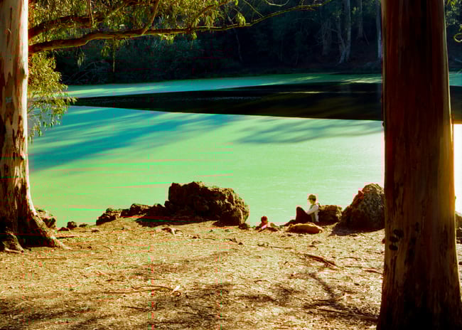 GAZA FUNDRAISER Photo Print - Lake Anza