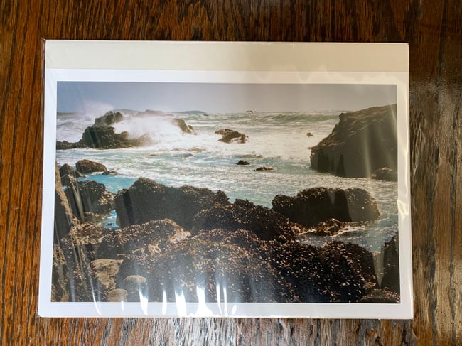 GAZA FUNDRAISER Photo Print - School House Beach. 
