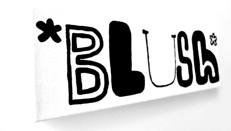 Image of * bLUsh * - 3" X 9" CANVAS