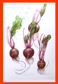 Image 2 of Bunched Beetroot | A2