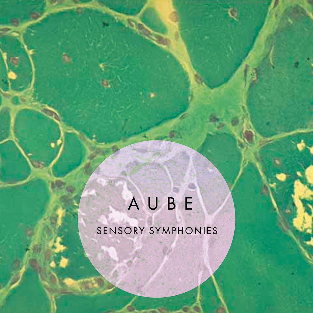 Aube - Sensory Symphonies 4xCD wooden box set (Urashima)