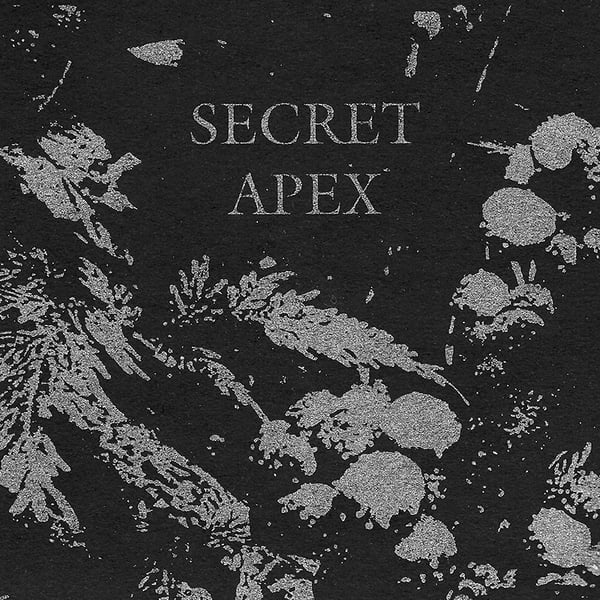 Image of Secret Apex CD