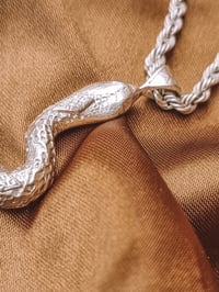Image 2 of Serpent Talisman