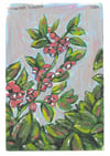 Guaraná Print