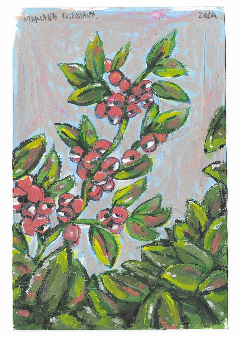 Guaraná illustration Print