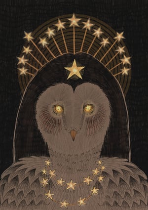 Image of Nocturnal Queen Owl