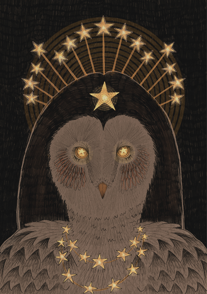 Image of Nocturnal Queen Owl