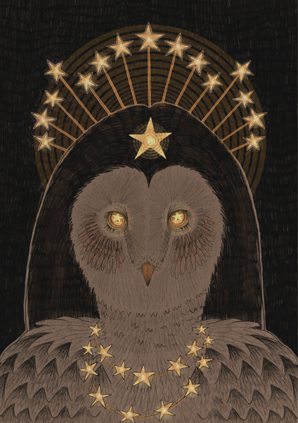 Image of Nocturnal Queen Owl
