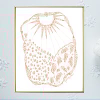 Image 1 of Illustrations couleur terre_ 24 x 30 cm