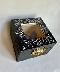 Image 2 of Small Cross Stitch Bug Box