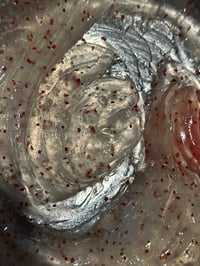 Image 4 of Salty Smooth Body Polish