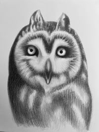 "Owl"