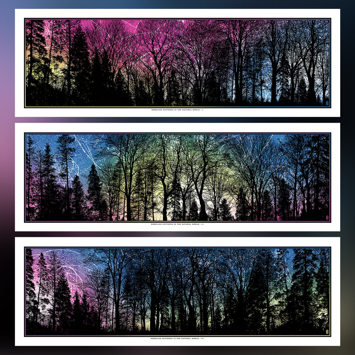 MODELING PATTERNS IN THE NATURAL WORLD 1, 2 & 3 | DAN McCARTHY
