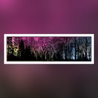 Image 2 of MODELING PATTERNS IN THE NATURAL WORLD 1, 2 & 3