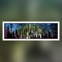 Image 3 of MODELING PATTERNS IN THE NATURAL WORLD 1, 2 & 3