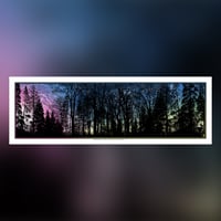 Image 4 of MODELING PATTERNS IN THE NATURAL WORLD 1, 2 & 3