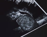 Image 8 of The Crow - Art Print