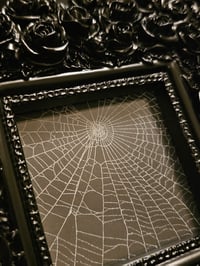 Image 4 of Very ornate chunky rose framed preserved spider web A