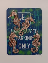 Sea Horses