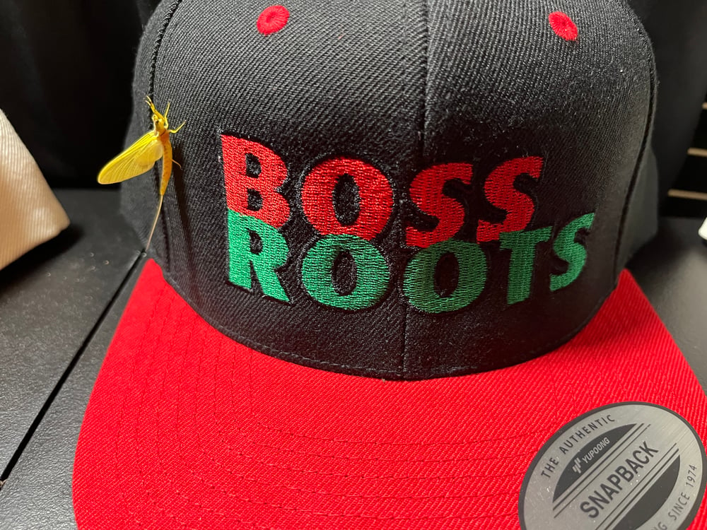 Red, Black & Green Embroidered Snapback