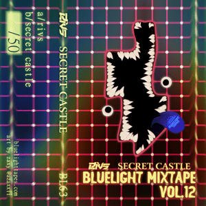 Bluelight Mixtape Vol. 12 - Rivs / Secret Castle