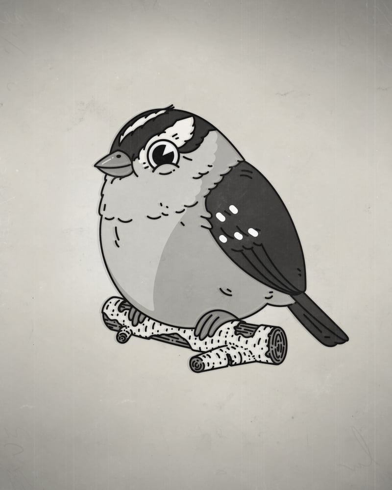 Image of White-crowned Sparrow (Saturday Morning Variant)