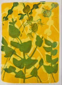 Image 5 of COURSE 1: Botanical Gelliprinting at Clevedon Craft Centre 28/09/24