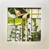 Image 1 of COURSE 1: Botanical Gelliprinting at Clevedon Craft Centre 28/09/24