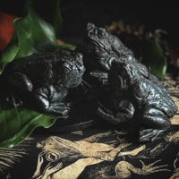 Image 4 of The Familiar Toad 