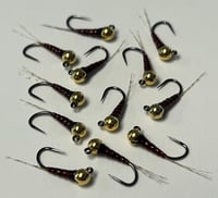 Image 2 of Uke’s Brown Bug