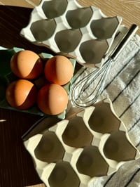 Image 1 of Nest Egg