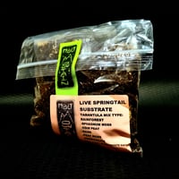 Image 2 of Fossorial Rainforest Mix - BIOACTIVE