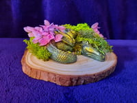 Image 2 of Resin creatures on log slices