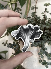 STICKER - Girolle 