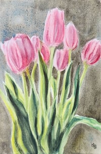 Pink Tulips