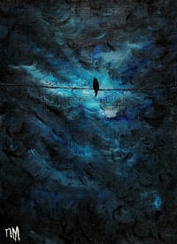 Image 1 of Blackbird on the Wire. Spring, 2024
