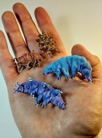 Image 2 of Mini Tardigrades